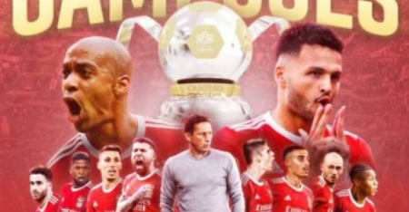 الدوري البرتغالي .. بنفيكا يتصدر للمرة الـ 38